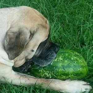 Meet your Posher, Christie